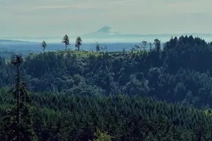 11880 Dupee Valley Rd, McMinnville, OR 97128 - Photo 35