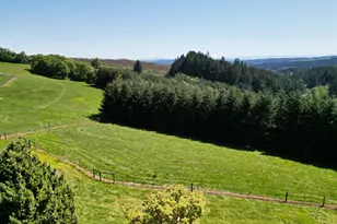 16900 SW McFee Pl, Hillsboro, OR 97123 - Photo 47