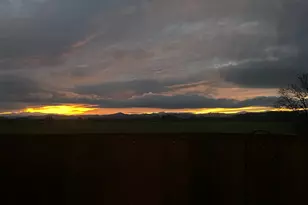 1429 Gladiola Dr, Junction City, OR 97448 - Photo 37