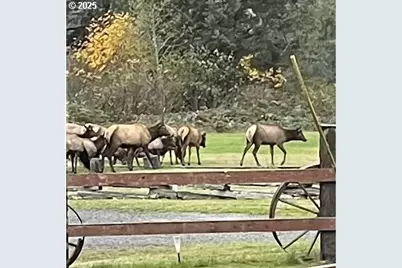 2475 S Smith River Rd, Reedsport, OR 97467 - Photo 7