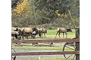 2475 S Smith River Rd, Reedsport, OR 97467 - Photo 7