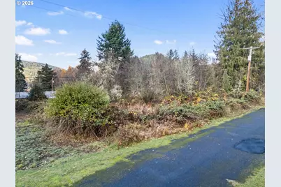 01 Roosevelt St, Mineral, WA 98355 - Photo 7