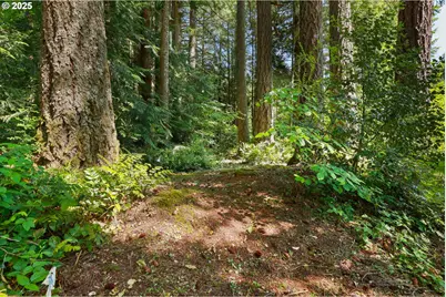 25701 S Morgan Rd, Estacada, OR 97023 - Photo 47