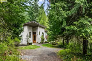 81 Wind Crest Rd, Carson, WA 98610 - Photo 3
