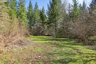 81 Wind Crest Rd, Carson, WA 98610 - Photo 37