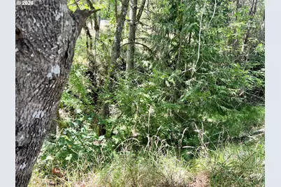 567 Braunda Dr, Roseburg, OR 97471 - Photo 19