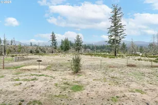 40213 Dogwood Rd, Mill City, OR 97360 - Photo 35