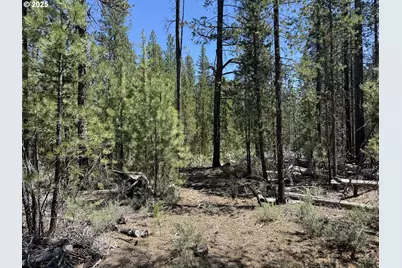 Off Nf 9768 #TL 300, Crescent, OR 97733 - Photo 23