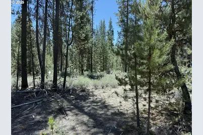 Off Nf 9768 #TL 300, Crescent, OR 97733 - Photo 11