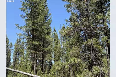 Off Nf 9768 #TL 300, Crescent, OR 97733 - Photo 17