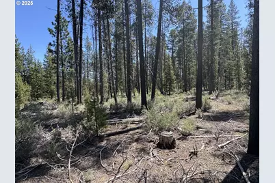 Off Nf 9768 #TL 300, Crescent, OR 97733 - Photo 19