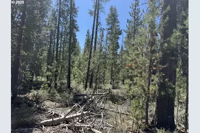 Off Nf 9768 #TL 300, Crescent, OR 97733 - Photo 25