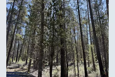 Off Nf 9768 #TL 300, Crescent, OR 97733 - Photo 3