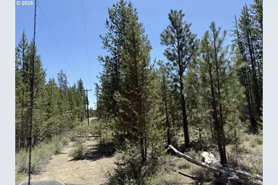 Off Nf 9768 #TL 300, Crescent, OR 97733 - Photo 9