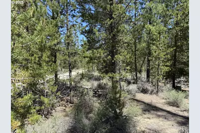 Off Nf 9768 #TL 300, Crescent, OR 97733 - Photo 7