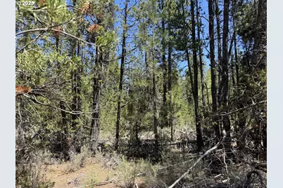 Off Nf 9768 #TL 300, Crescent, OR 97733 - Photo 35