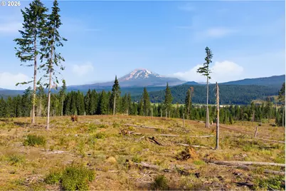 0 Little Mountain Rd, Trout Lake, WA 98650 - Photo 7