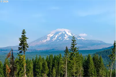 0 Little Mountain Rd, Trout Lake, WA 98650 - Photo 19