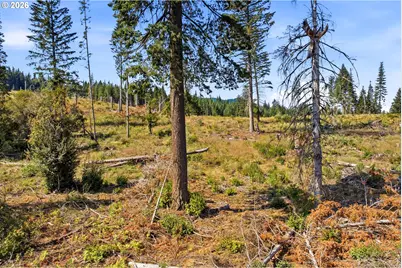 0 Little Mountain Rd, Trout Lake, WA 98650 - Photo 17