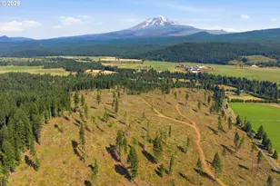 0 Little Mountain Rd, Trout Lake, WA 98650 - Photo 1