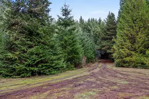 15101 NW Pumpkin Ridge Rd, North Plains, OR 97133 - Photo 37