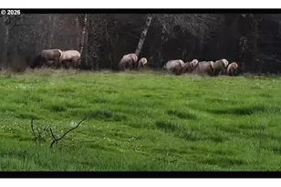 5143 Umpqua Hwy 99, Drain, OR 97435 - Photo 39