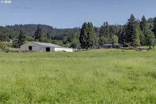 5143 Umpqua Hwy 99, Drain, OR 97435 - Photo 19
