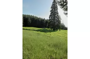 5143 Umpqua Hwy 99, Drain, OR 97435 - Photo 37
