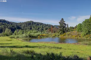 5143 Umpqua Hwy 99, Drain, OR 97435 - Photo 35
