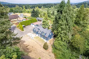 103 Carrolls Ave, Carrolls, WA 98609 - Photo 37