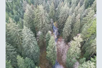 10840 Tillicum Loop, Neskowin, OR 97149 - Photo 11