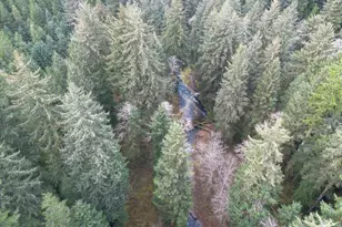 10840 Tillicum Loop, Neskowin, OR 97149 - Photo 11