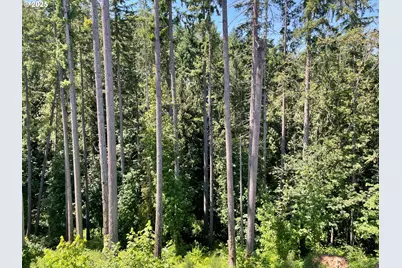 7827 SW Thornbridge Ter, Beaverton, OR 97007 - Photo 35