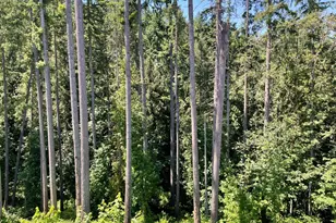 7827 SW Thornbridge Ter, Beaverton, OR 97007 - Photo 35