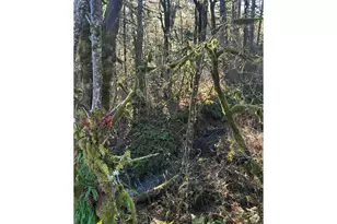 Rock Creek Rd, Sheridan, OR 97378 - Photo 1