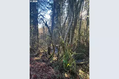 Rock Creek Rd #1, Sheridan, OR 97378 - Photo 11