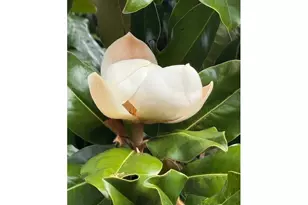 15240 SW 100th Ave, Tigard, OR 97224 - Photo 39