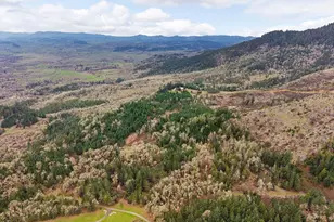 864 Larkspur Ln, Oakland, OR 97462 - Photo 47