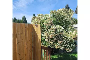 5355 River Rd N, Keizer, OR 97303 - Photo 37