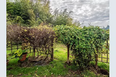 94428 Rink Creek Ln, Coquille, OR 97423 - Photo 29