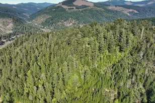 000 Jerrys Flat Rd, Gold Beach, OR 97444 - Photo 23