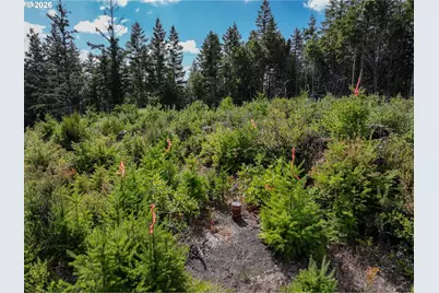 000 Jerrys Flat Rd, Gold Beach, OR 97444 - Photo 27