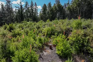 000 Jerrys Flat Rd, Gold Beach, OR 97444 - Photo 27