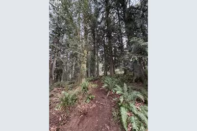 Meserve Rd, Rainier, OR 97048 - Photo 11