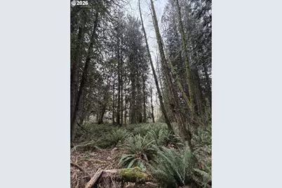 Meserve Rd, Rainier, OR 97048 - Photo 9