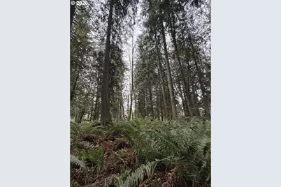 Meserve Rd, Rainier, OR 97048 - Photo 13