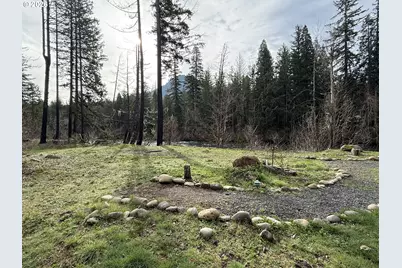 54480 McKenzie River Dr, Blue River, OR 97413 - Photo 5