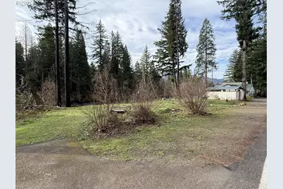 54480 McKenzie River Dr, Blue River, OR 97413 - Photo 3
