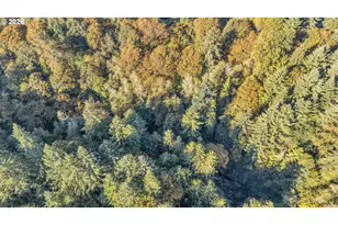 26100 NE 65th Ave, Battle Ground, WA 98604 - Photo 31