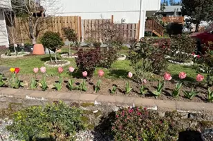 14545 SE Center St, Portland, OR 97236 - Photo 5